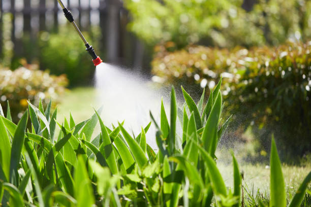 Tamper-Resistant Bait Stations for Rodents in Pearl River