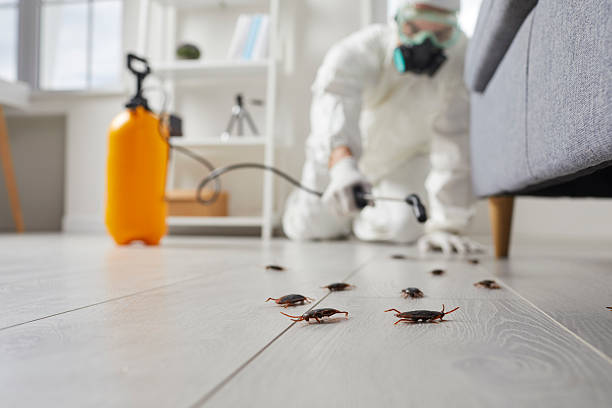 Commercial Rodent Management in Pearl River